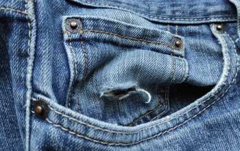 8 insectos que dejan agujeros en la ropa