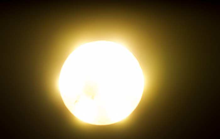 ¿Por qué los insectos se sienten atraídos por la luz?